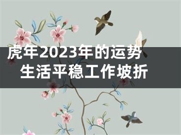 虎年2023年的运势 生活平稳工作坡折