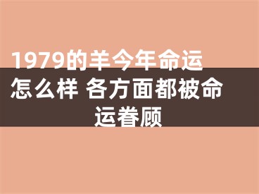 1979的羊今年命运怎么样 各方面都被命运眷顾