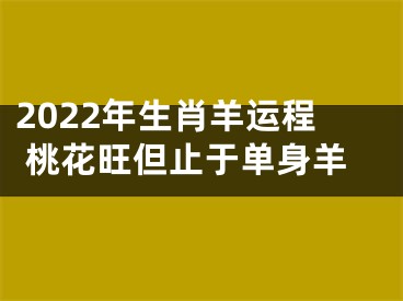 2022年生肖羊运程 桃花旺但止于单身羊