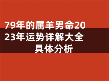 79年的属羊男命2023年运势详解大全 具体分析