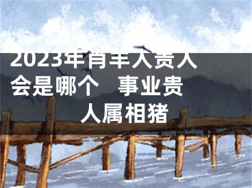 2023年肖羊人贵人会是哪个   事业贵人属相猪