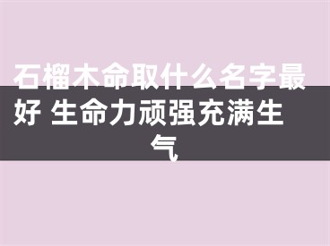 石榴木命取什么名字最好 生命力顽强充满生气