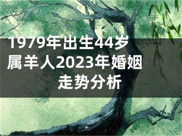 1979年出生44岁属羊人2023年婚姻走势分析