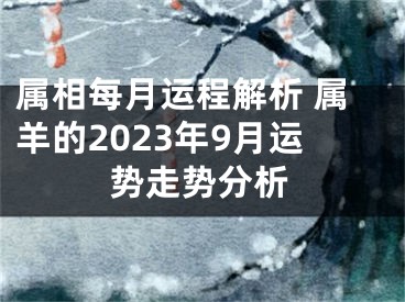 属相每月运程解析 属羊的2023年9月运势走势分析