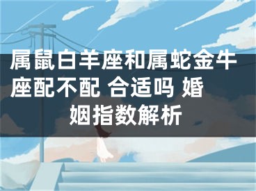 属鼠白羊座和属蛇金牛座配不配 合适吗 婚姻指数解析