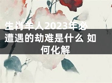 生肖羊人2023年必遭遇的劫难是什么 如何化解