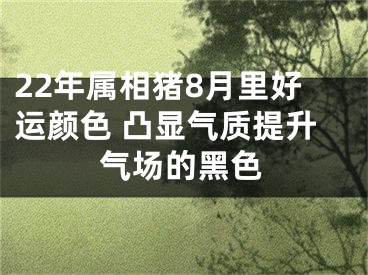 22年属相猪8月里好运颜色 凸显气质提升气场的黑色