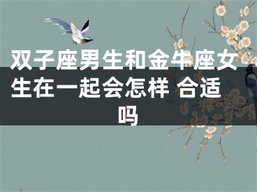 双子座男生和金牛座女生在一起会怎样 合适吗