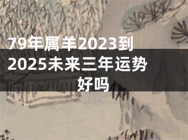 79年属羊2023到2025未来三年运势好吗