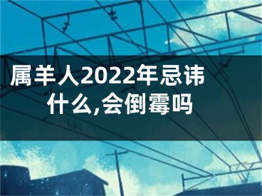 属羊人2022年忌讳什么,会倒霉吗