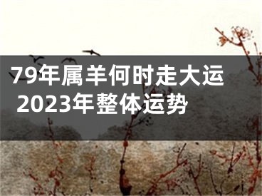 79年属羊何时走大运 2023年整体运势