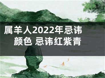 属羊人2022年忌讳颜色 忌讳红紫青