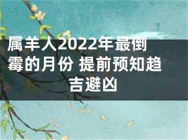 属羊人2022年最倒霉的月份 提前预知趋吉避凶