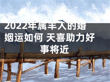 2022年属羊人的婚姻运如何 天喜助力好事将近