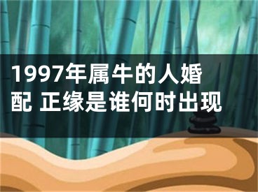 1997年属牛的人婚配 正缘是谁何时出现