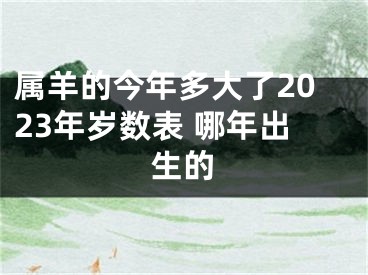 属羊的今年多大了2023年岁数表 哪年出生的