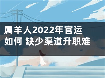 属羊人2022年官运如何 缺少渠道升职难