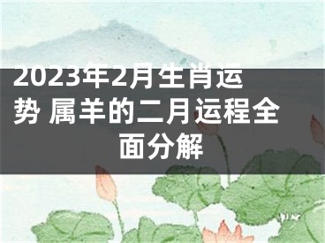 2023年2月生肖运势 属羊的二月运程全面分解