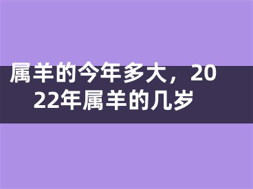 属羊的今年多大，2022年属羊的几岁