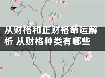 从财格和正财格命运解析 从财格种类有哪些