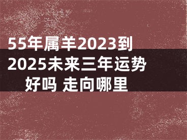 55年属羊2023到2025未来三年运势好吗 走向哪里 