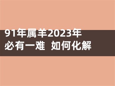 91年属羊2023年必有一难  如何化解