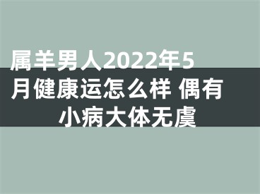 属羊男人2022年5月健康运怎么样 偶有小病大体无虞