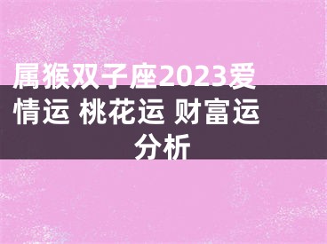 属猴双子座2023爱情运 桃花运 财富运分析