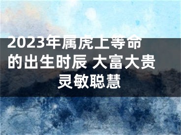 2023年属虎上等命的出生时辰 大富大贵灵敏聪慧