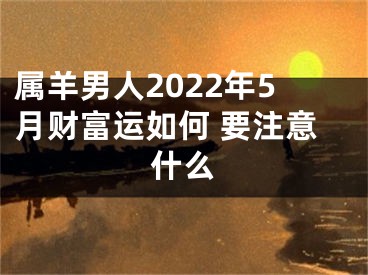 属羊男人2022年5月财富运如何 要注意什么