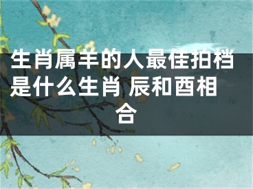 生肖属羊的人最佳拍档是什么生肖 辰和酉相合