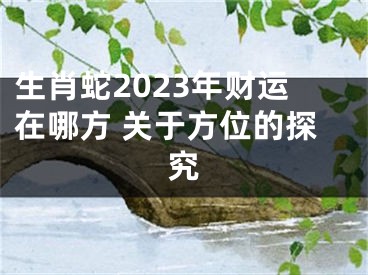 生肖蛇2023年财运在哪方 关于方位的探究