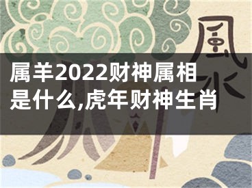 属羊2022财神属相是什么,虎年财神生肖