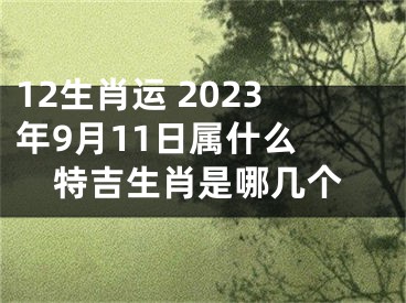 12生肖运 2023年9月11日属什么 特吉生肖是哪几个