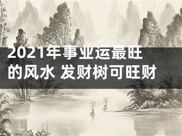 2021年事业运最旺的风水 发财树可旺财