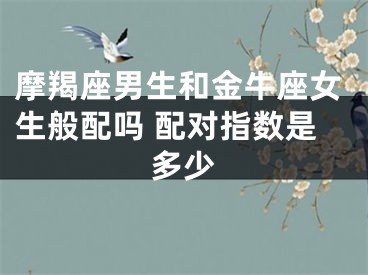 摩羯座男生和金牛座女生般配吗 配对指数是多少