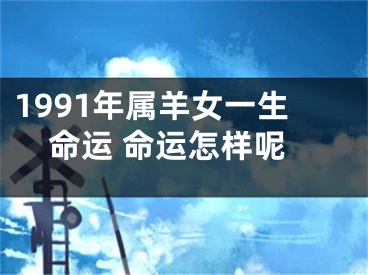 1991年属羊女一生命运 命运怎样呢