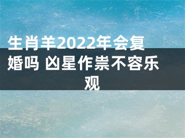 生肖羊2022年会复婚吗 凶星作祟不容乐观