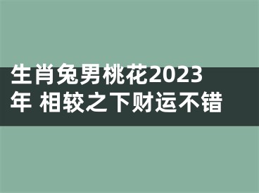 生肖兔男桃花2023年 相较之下财运不错