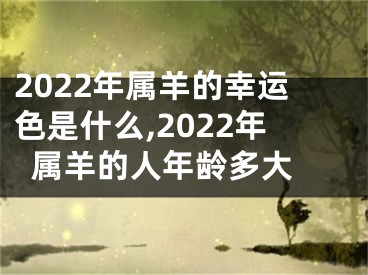 2022年属羊的幸运色是什么,2022年属羊的人年龄多大 