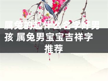 属兔的起什么名字好男孩 属兔男宝宝吉祥字推荐