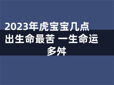 2023年虎宝宝几点出生命最苦 一生命运多舛