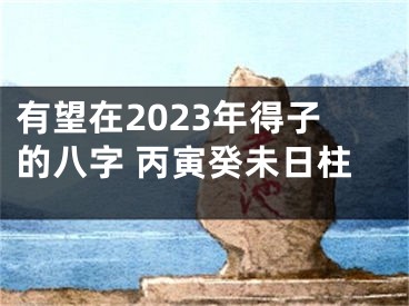 有望在2023年得子的八字 丙寅癸未日柱