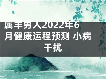 属羊男人2022年6月健康运程预测 小病干扰