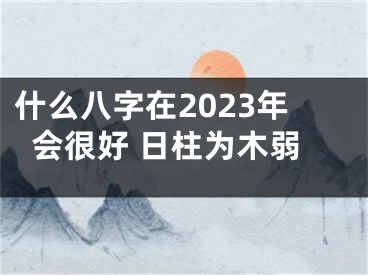 什么八字在2023年会很好 日柱为木弱