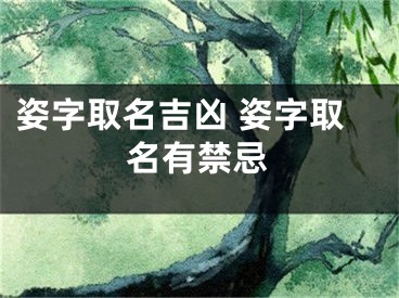 姿字取名吉凶 姿字取名有禁忌