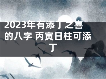 2023年有添丁之喜的八字 丙寅日柱可添丁