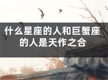 什么星座的人和巨蟹座的人是天作之合