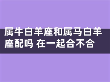 属牛白羊座和属马白羊座配吗 在一起合不合