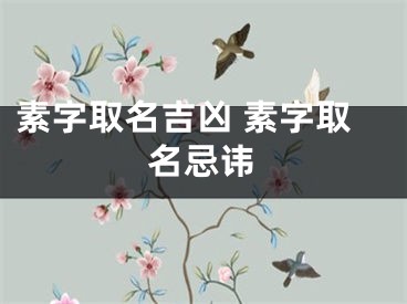 素字取名吉凶 素字取名忌讳